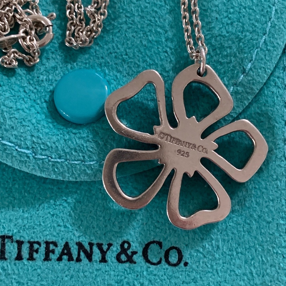 Tiffany & Co. necklace